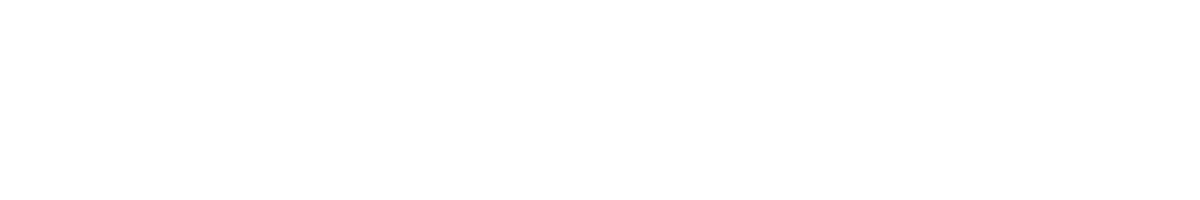 Our software infrastructure